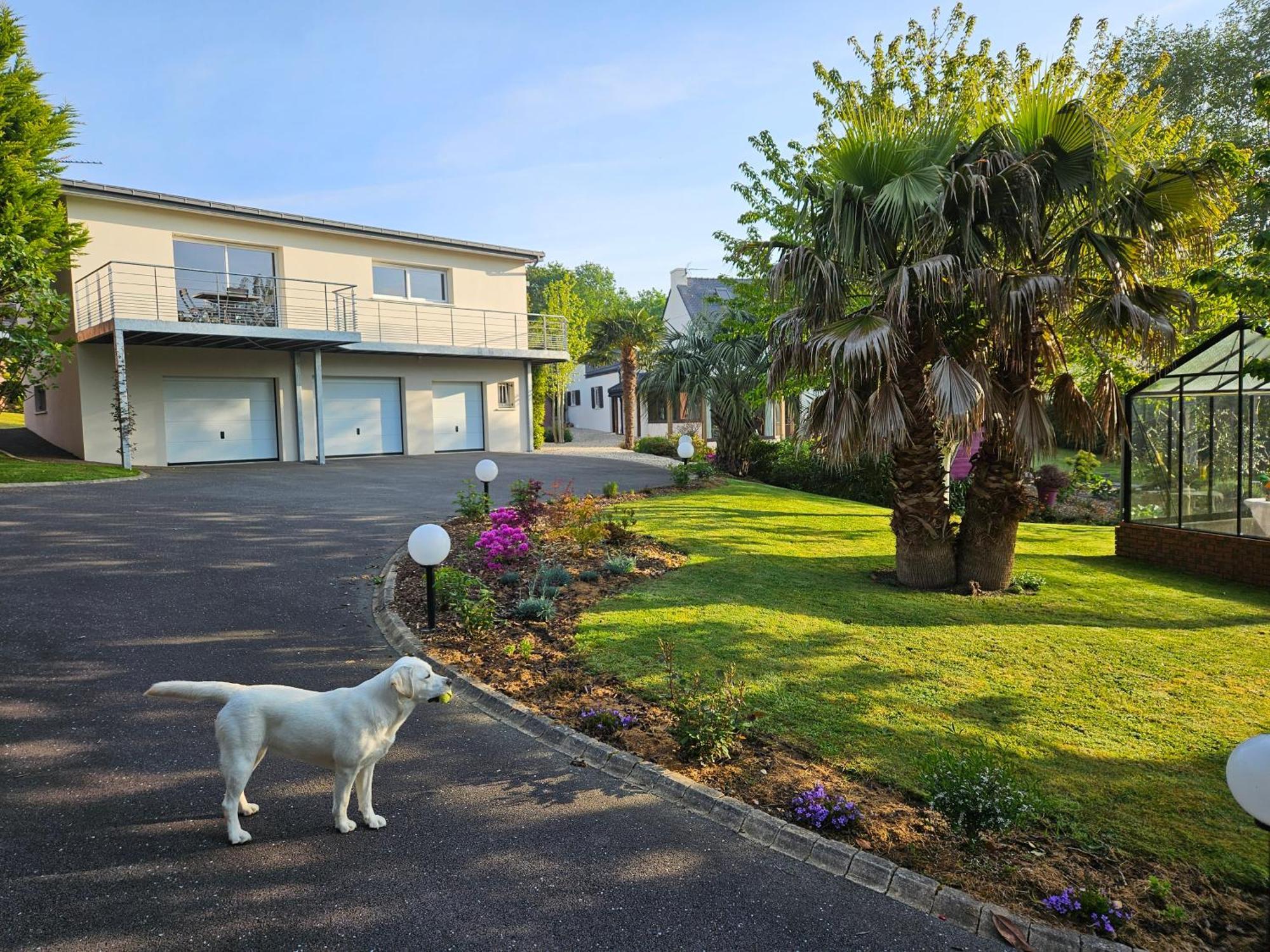 A L'Escale Fleurie Apartment Guipavas Exterior photo