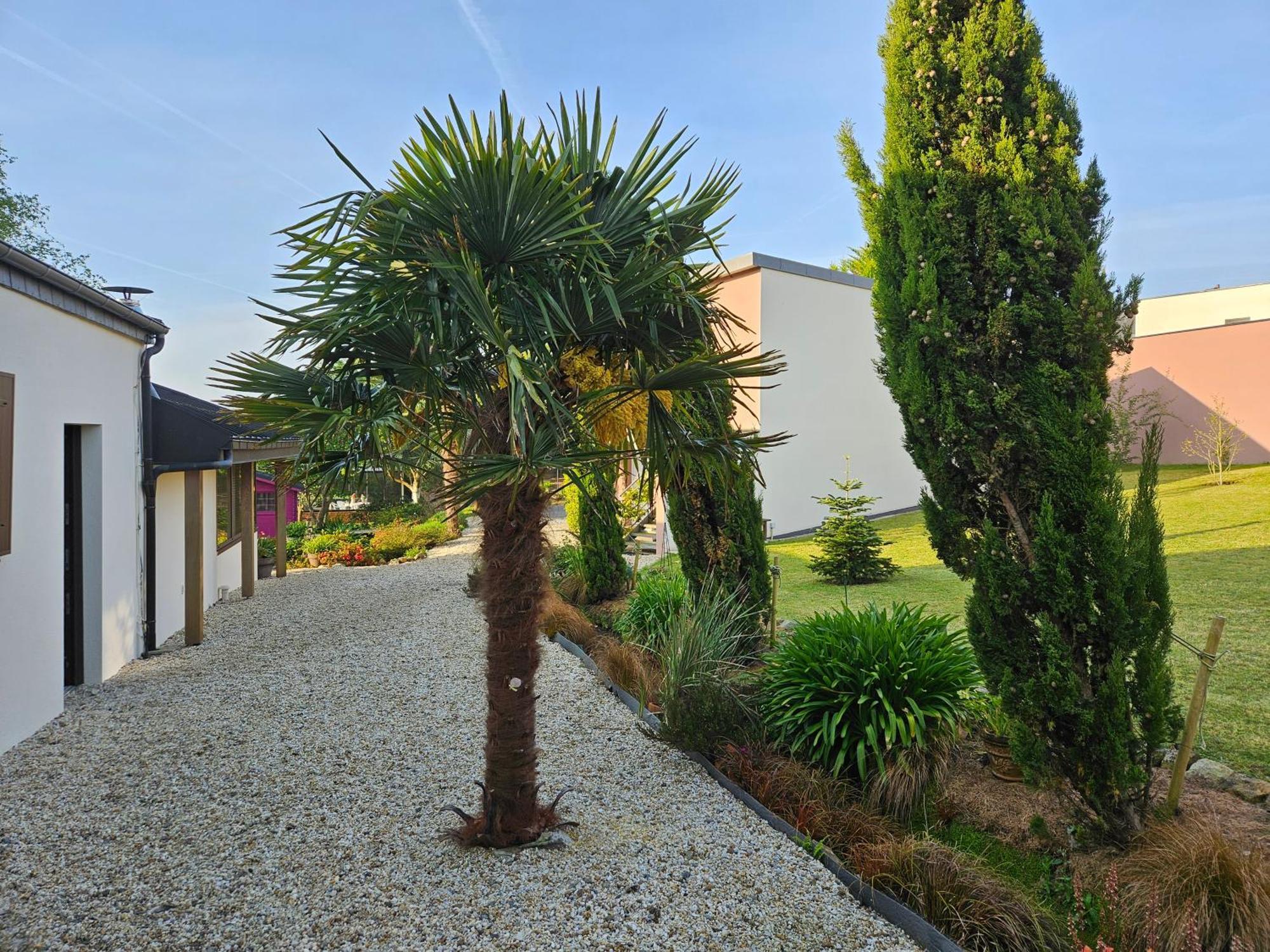 A L'Escale Fleurie Apartment Guipavas Exterior photo
